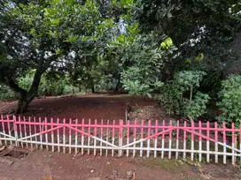 tanah dijual di ciangsana