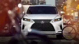 Front Grill Lexus RX350/RX200t Diamond & FSport Facelift 2014 & 2022