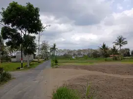 Tanah Sleman Dijual, Dekat SMAN 1 Ngaglik