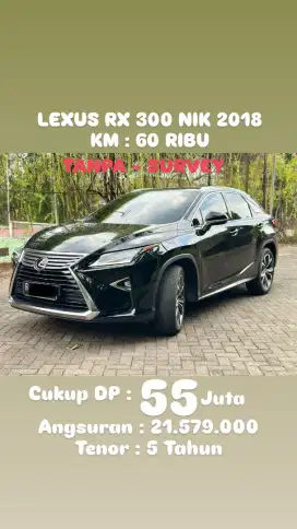 Lexus RX 300 Nik 2018