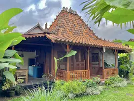 Dijual Villa Area Ubud Gianyar Dekat Pusat Ubud