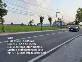 Lahan istimewa nol jalan raya 62 X 50 mantup arah lamongan