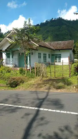 Dijual Rumah Raya Bromo Probolinggo