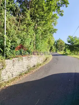 Tanah Luas Daerah Torongrejo Dekat Pasar Among Tani, Hotel Singhasari