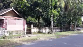 Tanah di Tengah Kota Selong