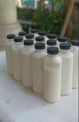 10 liter susu kambing etawa murni 100% dalam botol 250ml khasiat puas