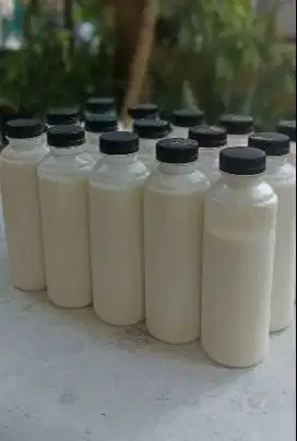 10liter susu kambing etawa murni dalam kemasan botol 250ml jamin puas