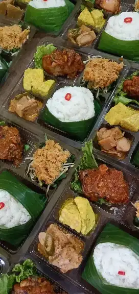 Nasi kotak / tumpeng nasi kotak