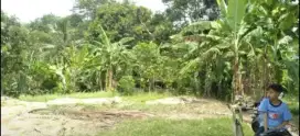 Dijual Tanah Kebun