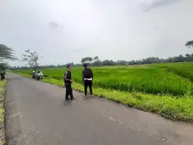 Tanah Sawah Curungrejo Kepanjen Dijual murah B.U Poll pinggir jl Aspal