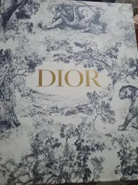 Tas Dior 35-MA-1107