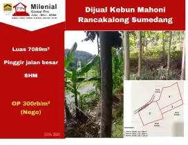 Dijual Tanah Sawah Rancabolang Sumedang