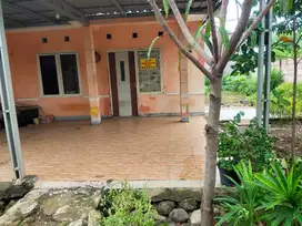 Rumah sederhana di kontrakan masih bisa nego.