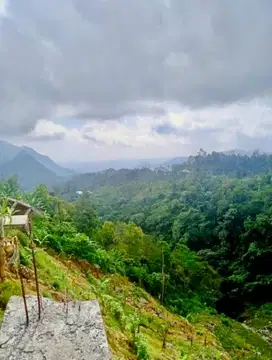 Tanah View Pegunungan Sukasada Buleleng Bali