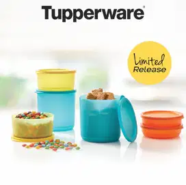 Summer Go Round Tupperware