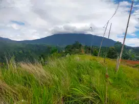 Tanah full view gunung untuk wisata+cafe+glamping+villa