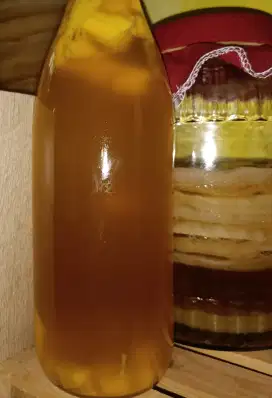 Kombucha minuman probiotik