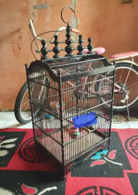 Kandang/Sangkar Burung Kotak Bisa Kirim Keseluruh Indonesia