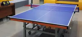 TENIS MEJA KATANA