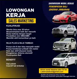 Marketing mobil berpengalaman