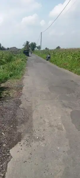 Dijual tanah SHM sawah dekat pabrik sarung tangan dan obelix village