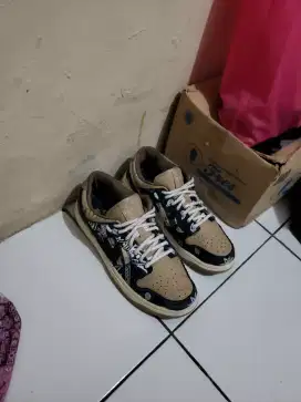 Sepatu Nike Scott Travis Cactus, sz 41 (26)