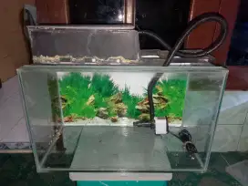 Aquarium 50x25x30 fullset bekas