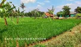 Dijual tanah sawah investasi subur view keren