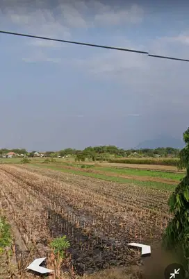 Tanah sawah luas 5 HA harga 500 ribu permeter di Bangsal, Mojokerto