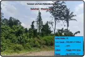 Tanah Untuk Perkebunan