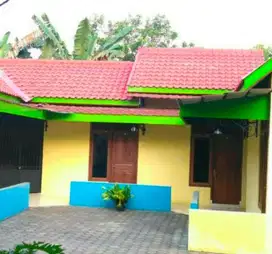 YELLOW KOST NGEKOS MURAH & KOMPLIT