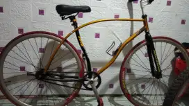 Dijual sepeda fixie bekas tp kondisi masih mulus jarang dipake