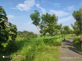 Jual tanah pekarangan lokasi jumantono lt 1285m hrg 175jt nego