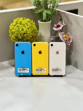 iPhone Xr 128GB Inter All operatoe