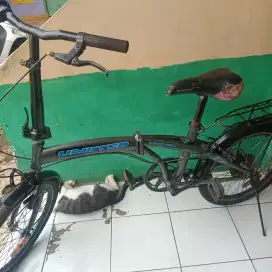 Jual sepedaipat ring 18