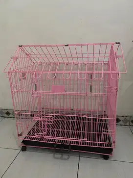 Di jual kadang kucing pink