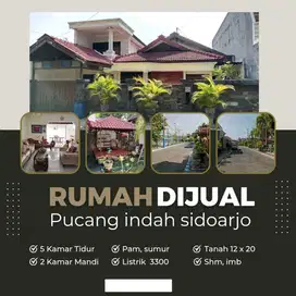 Di Jual rumah Murah di area Sidoarjo Jawa Timur