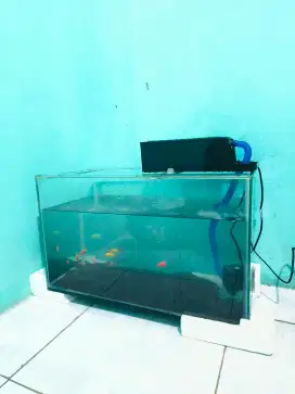 Dijual cepat AQUARIUM & FILTER