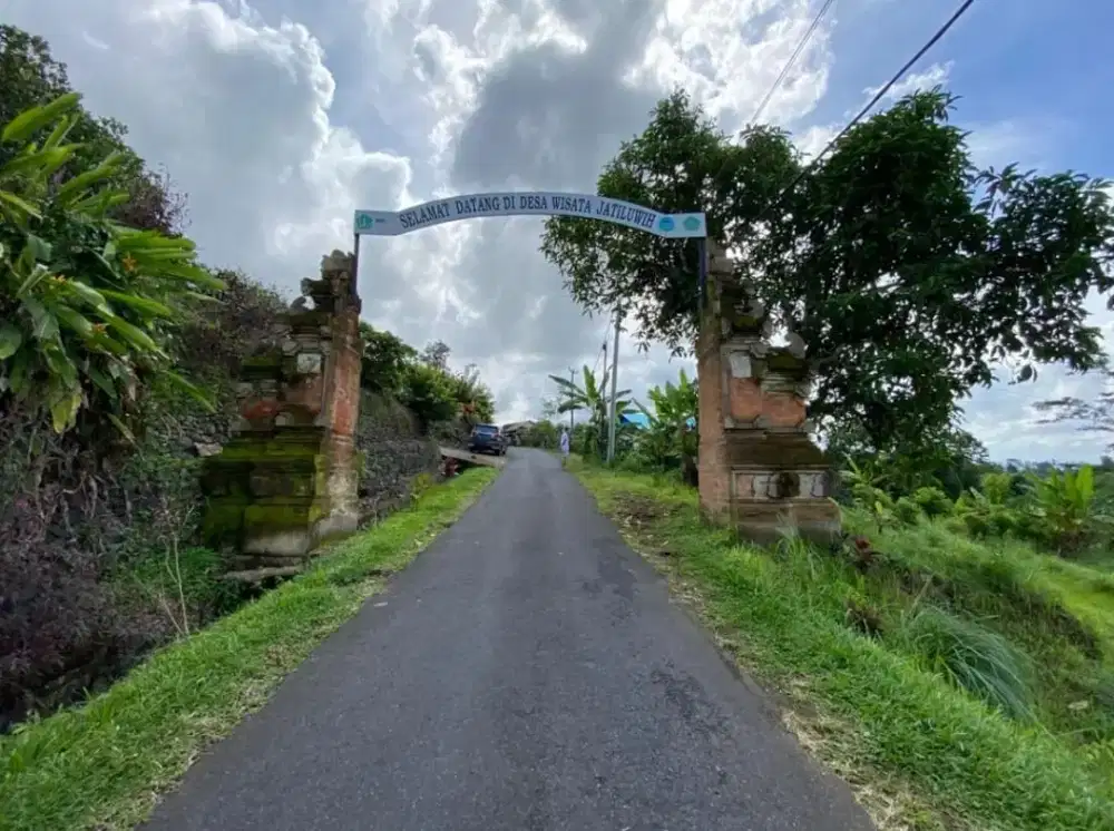 Tanah Siap Bangun Hotel + Resto Jatiluwih