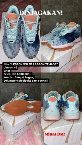 Sepatu Basket Nike Lebron XXI EP Aragonite Jade