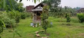 Jual Tanah Perkebunan & Rumah