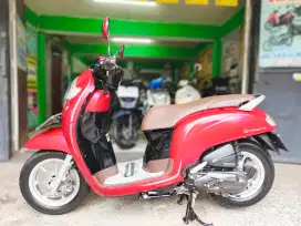 Td.UM500RIBU.SCOOPY STYLISH 2019