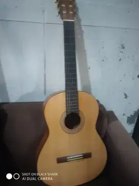 Gitar Yamaha C30 M