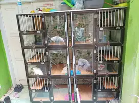 Kandang Kucing Murah