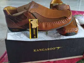 Kangaroo size 6