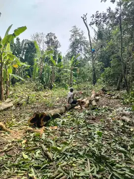 Dijual Tanah dibawah 1 juta dekat RSUD Panembahan Senopati Bantul