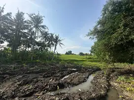 land in Nakula area,Badung area