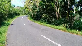 tanah murah,pinggir jalan propinsi.view istimewa