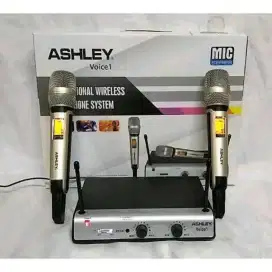 Mic Wireless Ashley VOICE-1 handle Original