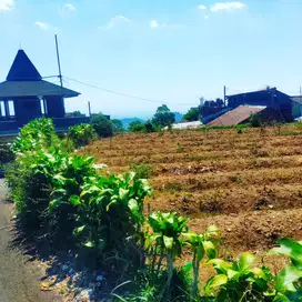 Di Jua Cepat Tanah Pekarangan Murah di Tawangmangu